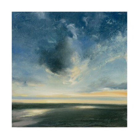Trademark Fine Art Julia Purinton 'Coastal Sunrise' Canvas Art, 14x14 WAP09248-C1414GG